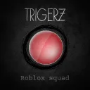 𝐓𝐫𝐢𝐠𝐞𝐫𝐳 | ʀᴏʙʟᴏx sǫᴜᴀᴅ — Дискорд Сервер