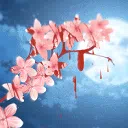 seikura — Дискорд Сервер