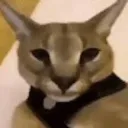 The Hecker — Discord Server