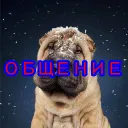 Общение — Дискорд Сервер