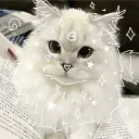 𝑻𝑯𝑬 𝑺𝑪𝑨𝑹𝑳𝑬𝑻 𝑯𝑶𝑹𝑰𝒁𝑶𝑵 — Дискорд Сервер