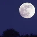 🌙✨ | Nocturne (16+) — Дискорд Сервер