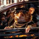 ⭐ Hamster 🏆 — Дискорд Сервер