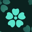 AVRORA 🍀 — Дискорд Сервер