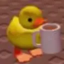 Ducky — Дискорд Сервер