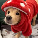 🍄 MushRoom 🍄 — Дискорд Сервер