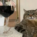 ✨ | Котячий Край | ❤ — Дискорд Сервер