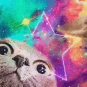 ⚞ Meowbound Fellas ⚟ — Дискорд Сервер