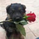Сервер Венлока! :D — Дискорд Сервер