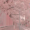 ANIME BANDA — Дискорд Сервер