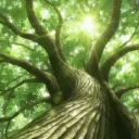 🌳RAYZOL - LUCK🍀 — Дискорд Сервер
