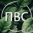 Пиар Вашего Сервера [ПВС] — Дискорд Сервер